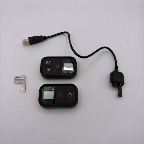 Gopro smart wifi remote - gopro,