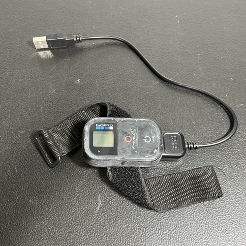 Gopro smart wifi - gopro, remote