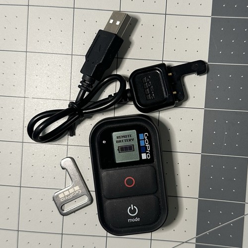 Genuine oem gopro - oem, remote