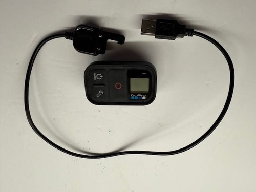 Gopro smart wifi - gopro, remote
