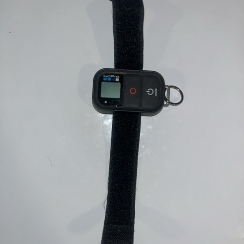 Gopro smart remote control - gopro,